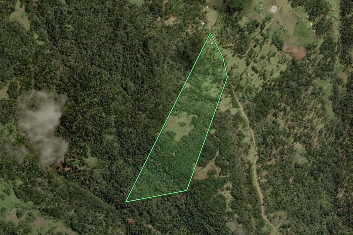 Imagem de satélite do imóvel rural em Painel (SC), com o contorno declarado no CAR desenhado por cima.