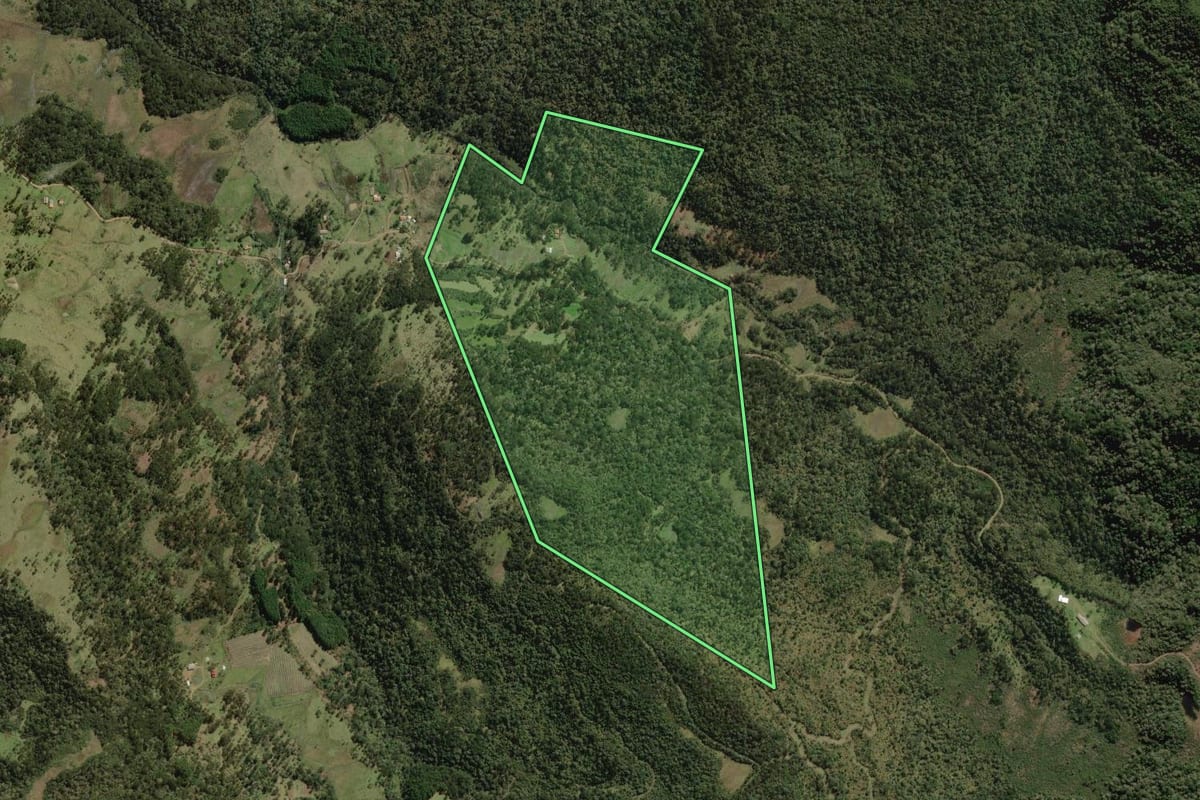 Imagem de satélite do imóvel rural em Painel (SC), com o contorno declarado no CAR desenhado por cima.