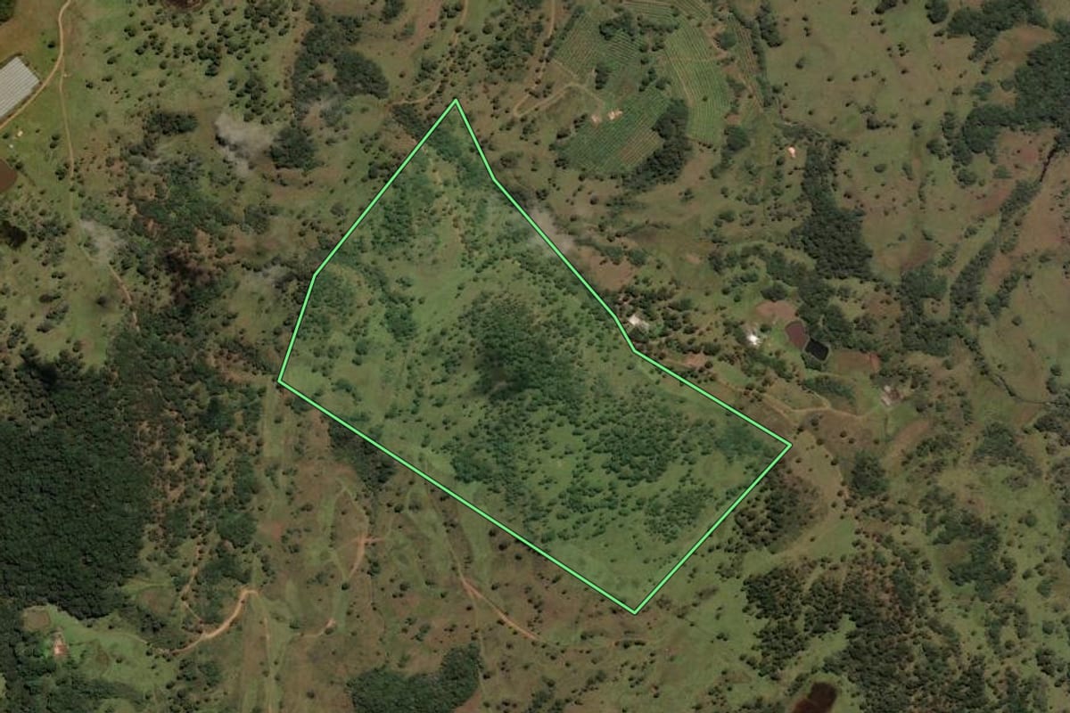 Imagem de satélite do imóvel rural em Painel (SC), com o contorno declarado no CAR desenhado por cima.