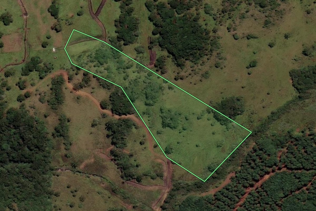 Imagem de satélite do imóvel rural em Painel (SC), com o contorno declarado no CAR desenhado por cima.