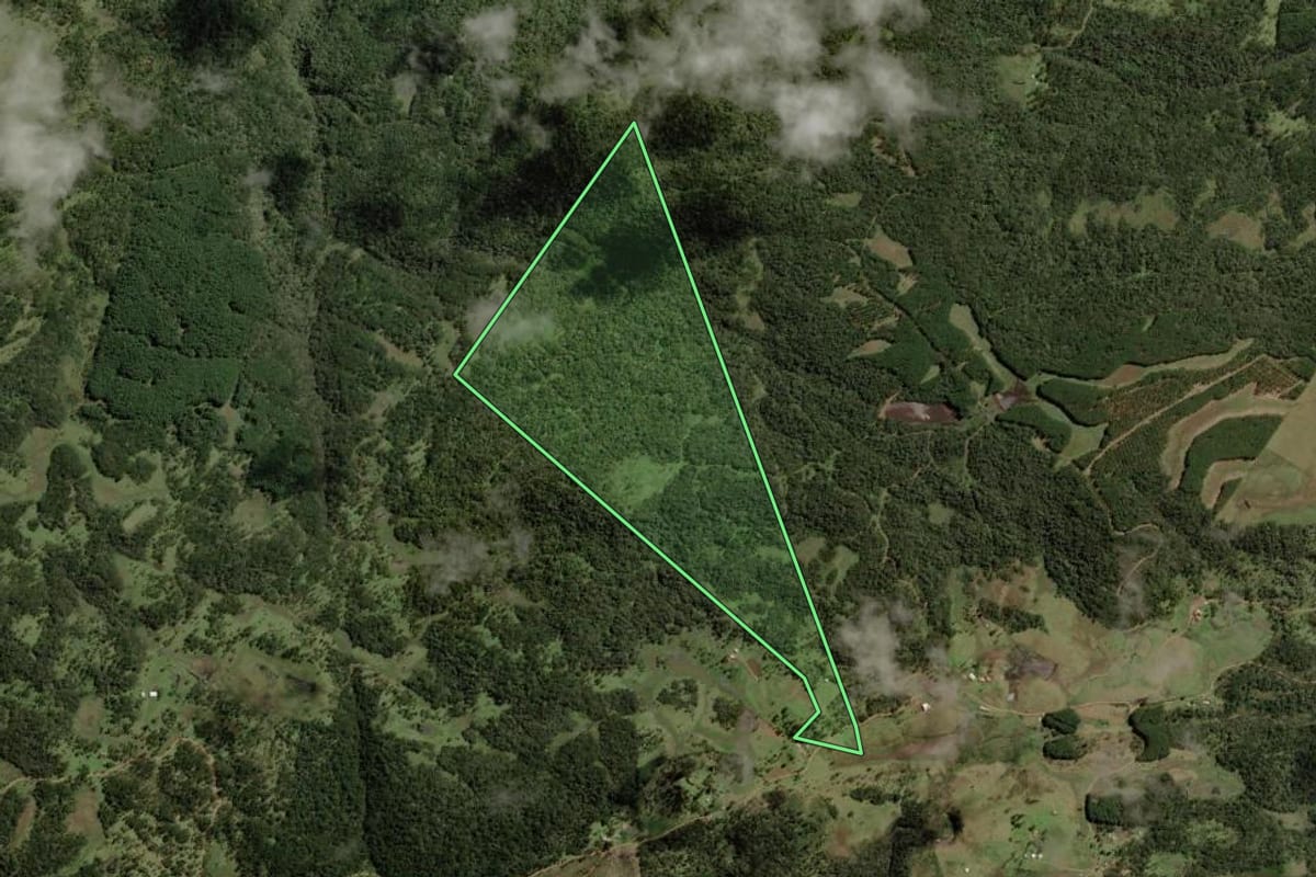 Imagem de satélite do imóvel rural em Painel (SC), com o contorno declarado no CAR desenhado por cima.