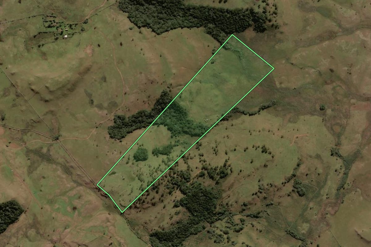Imagem de satélite do imóvel rural em Painel (SC), com o contorno declarado no CAR desenhado por cima.