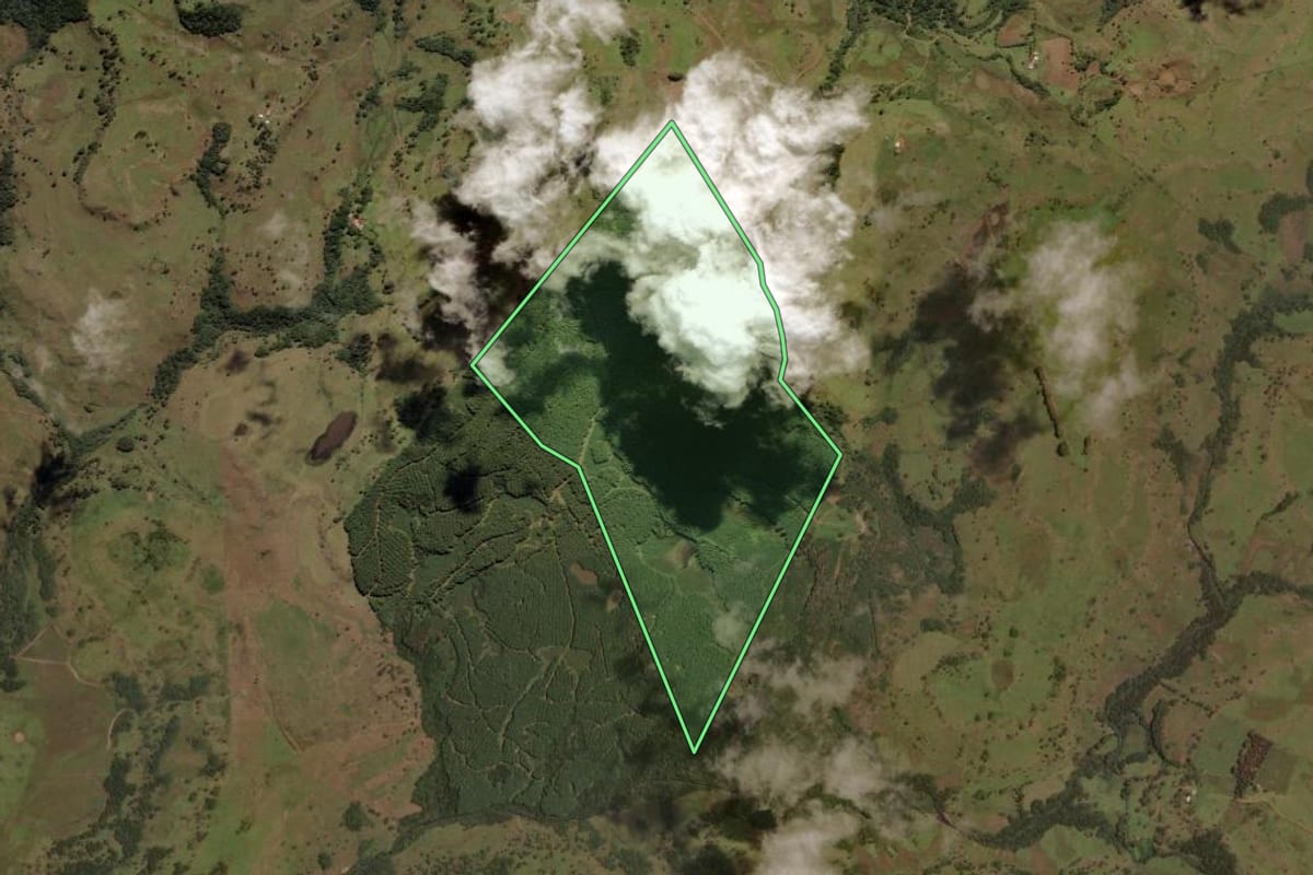 Imagem de satélite do imóvel rural em Painel (SC), com o contorno declarado no CAR desenhado por cima.
