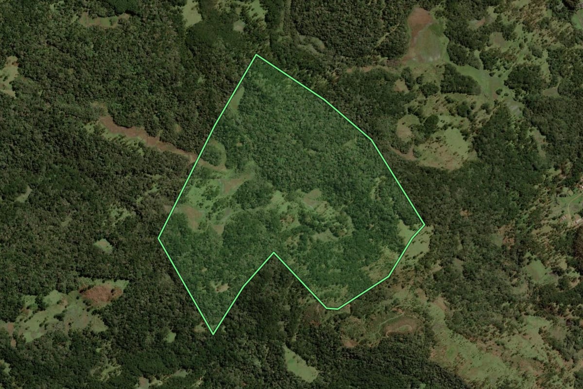 Imagem de satélite do imóvel rural em Painel (SC), com o contorno declarado no CAR desenhado por cima.