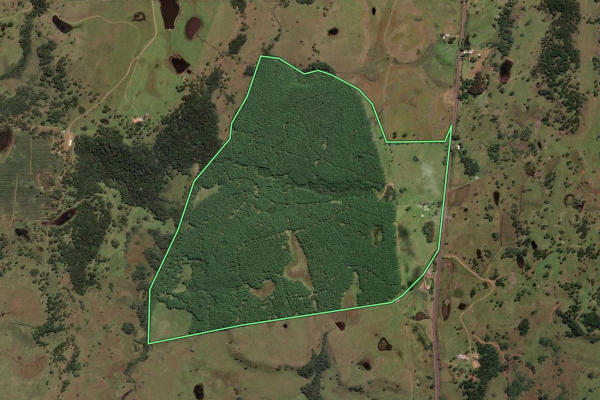 Imagem de satélite do imóvel rural em Painel (SC), com o contorno declarado no CAR desenhado por cima.