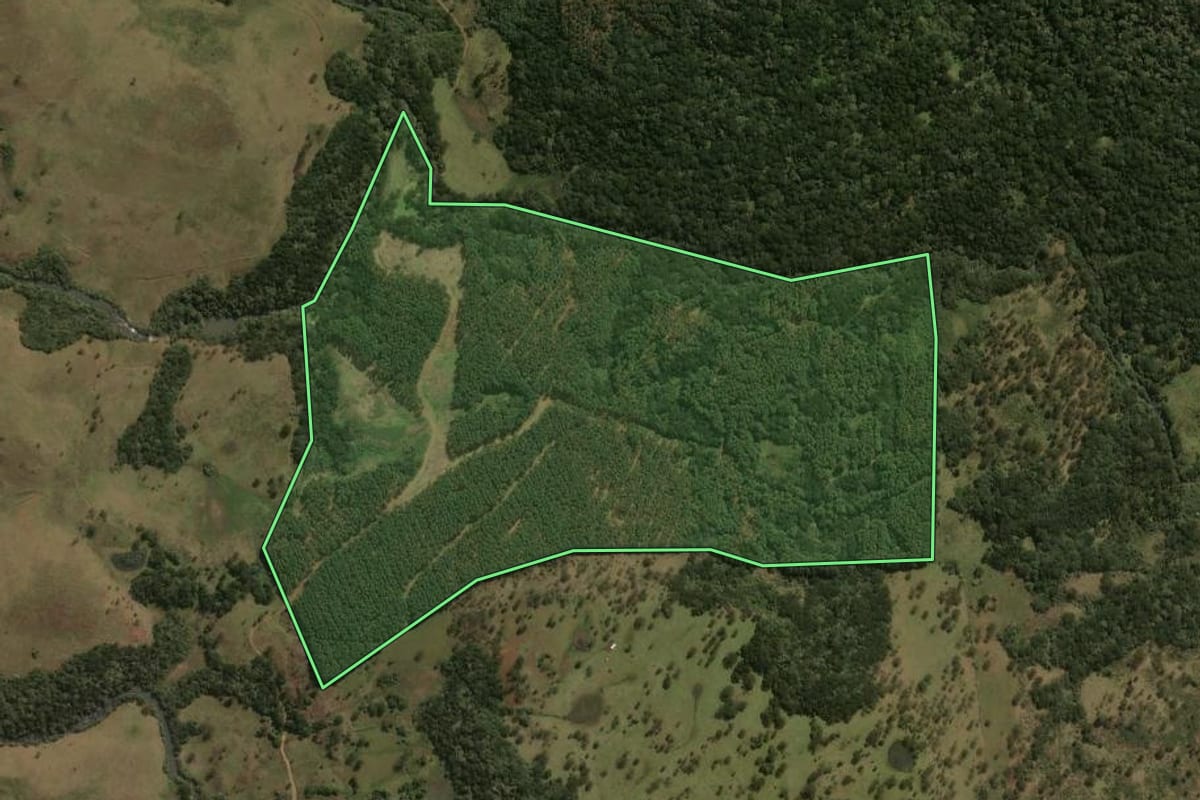 Imagem de satélite do imóvel rural em Painel (SC), com o contorno declarado no CAR desenhado por cima.