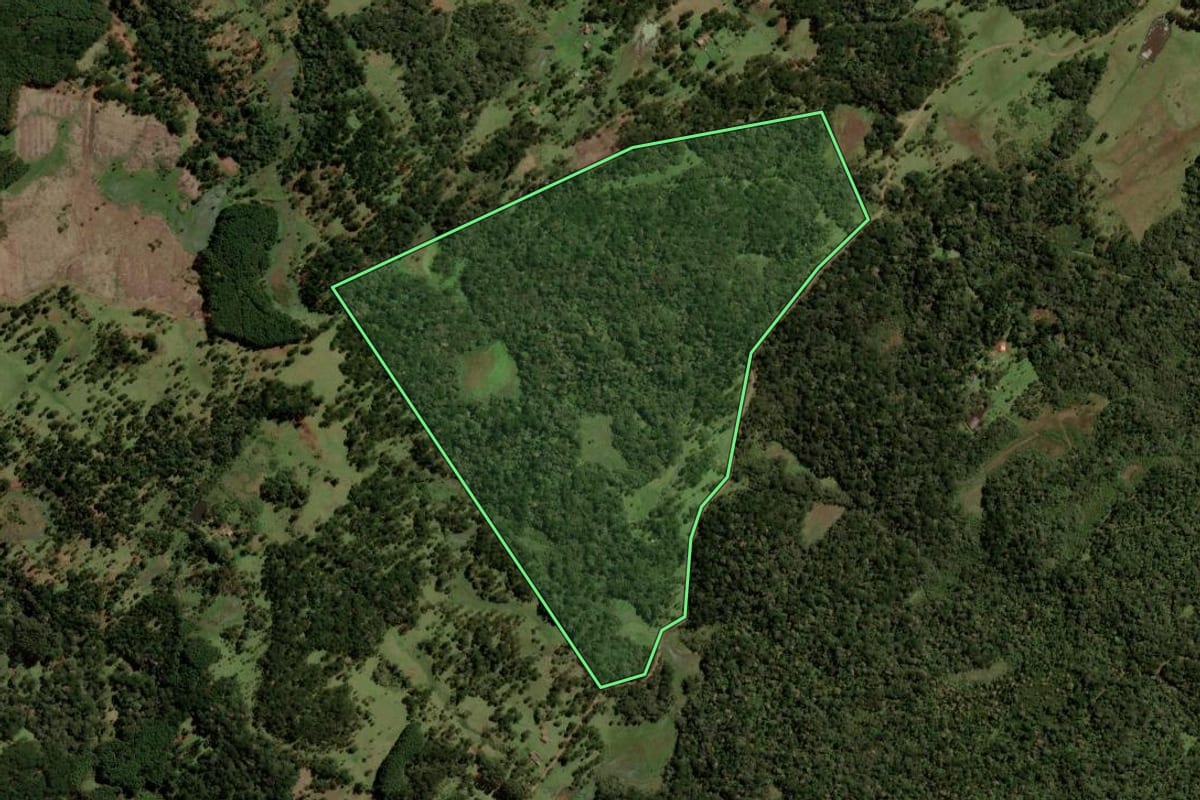 Imagem de satélite do imóvel rural em Painel (SC), com o contorno declarado no CAR desenhado por cima.