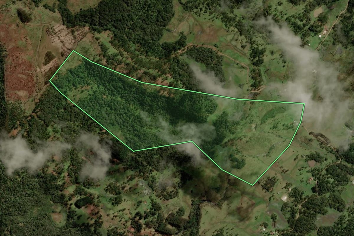 Imagem de satélite do imóvel rural em Painel (SC), com o contorno declarado no CAR desenhado por cima.