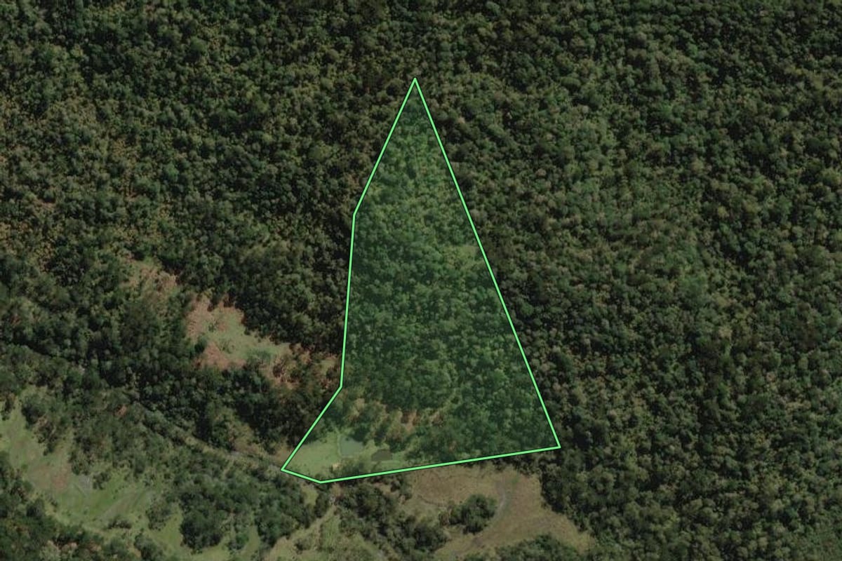 Imagem de satélite do imóvel rural em Painel (SC), com o contorno declarado no CAR desenhado por cima.
