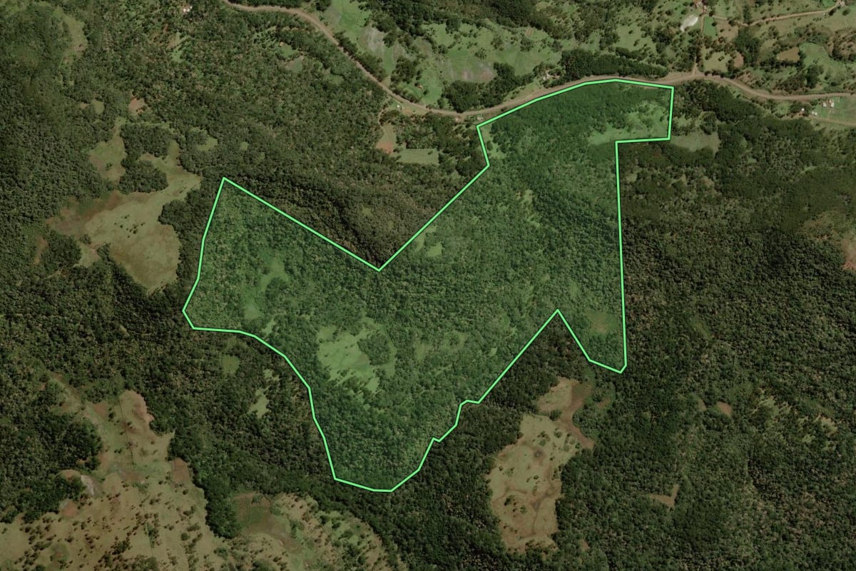 Imagem de satélite do imóvel rural em Painel (SC), com o contorno declarado no CAR desenhado por cima.