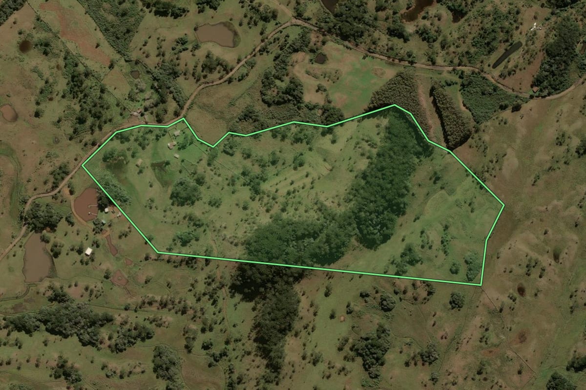 Imagem de satélite do imóvel rural em Painel (SC), com o contorno declarado no CAR desenhado por cima.