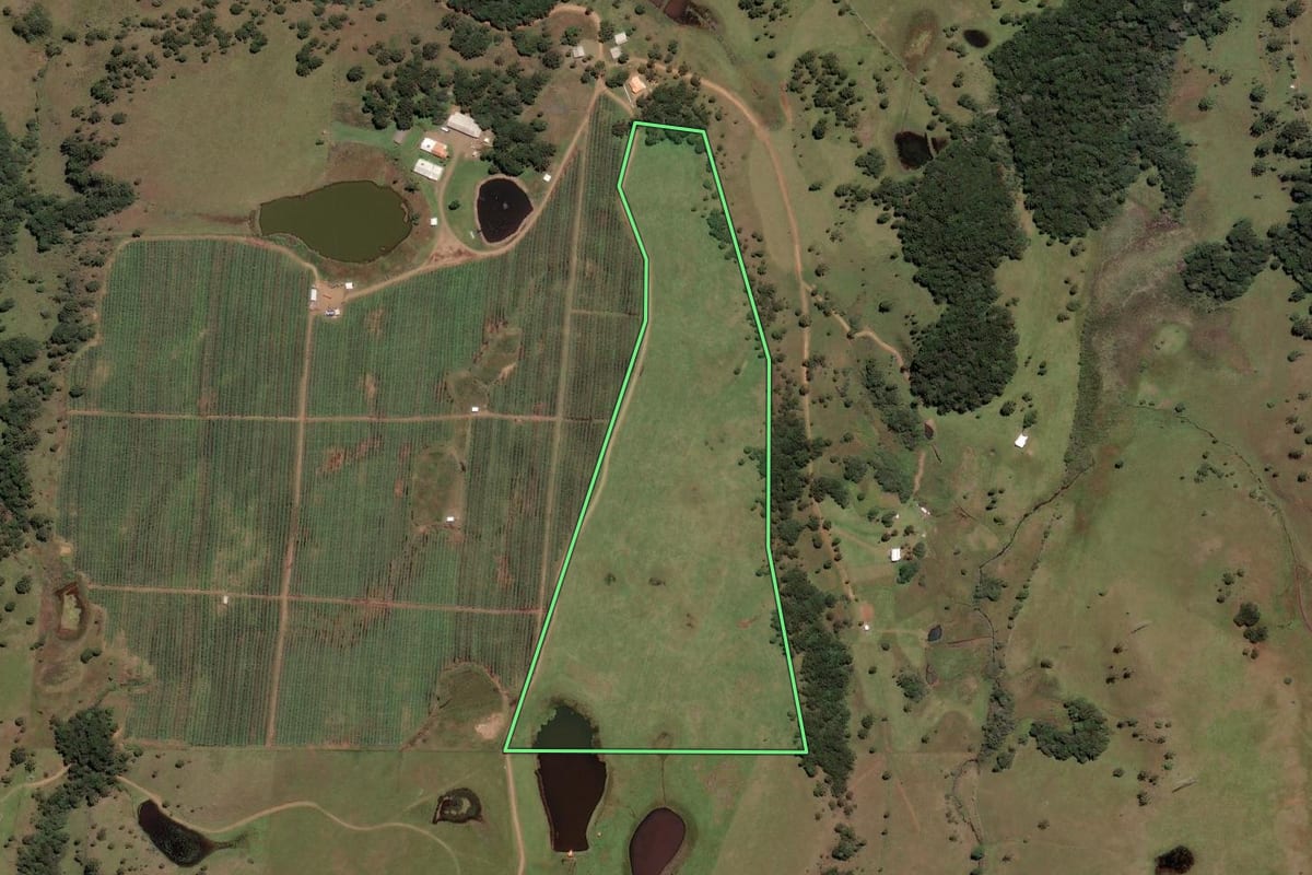 Imagem de satélite do imóvel rural em Painel (SC), com o contorno declarado no CAR desenhado por cima.