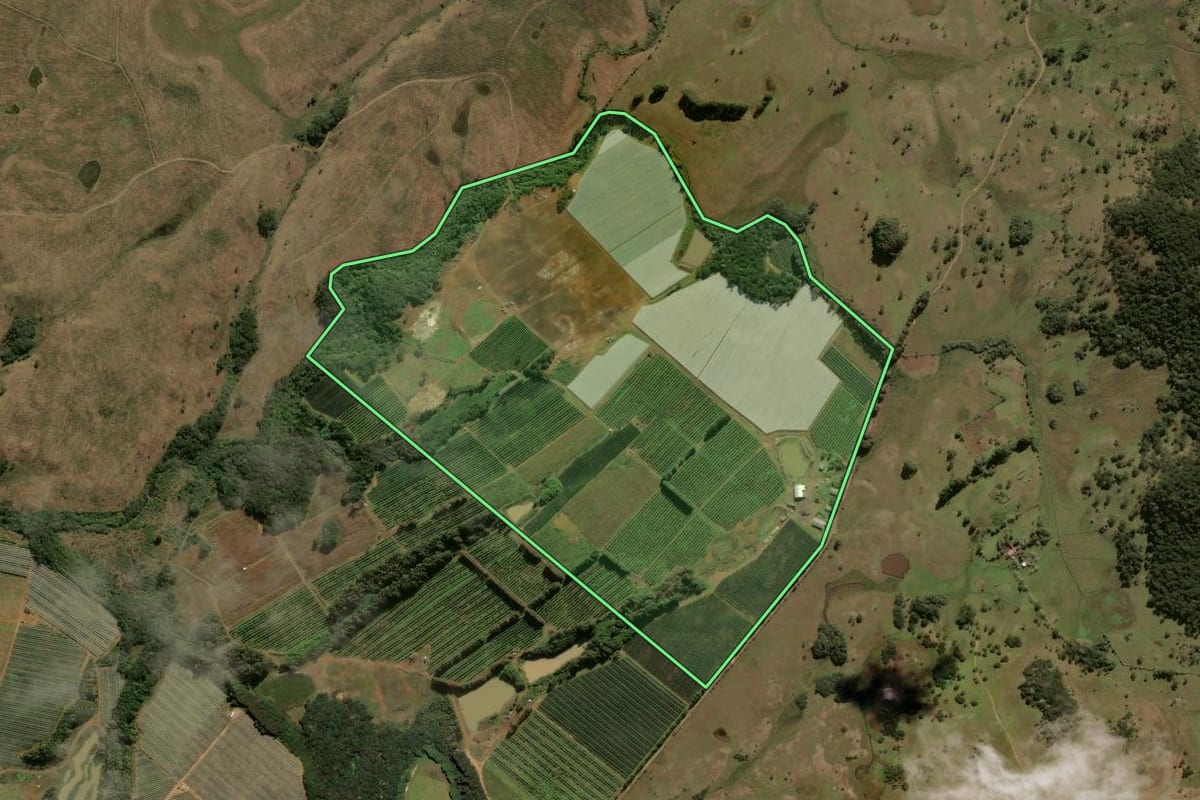 Imagem de satélite do imóvel rural em Painel (SC), com o contorno declarado no CAR desenhado por cima.