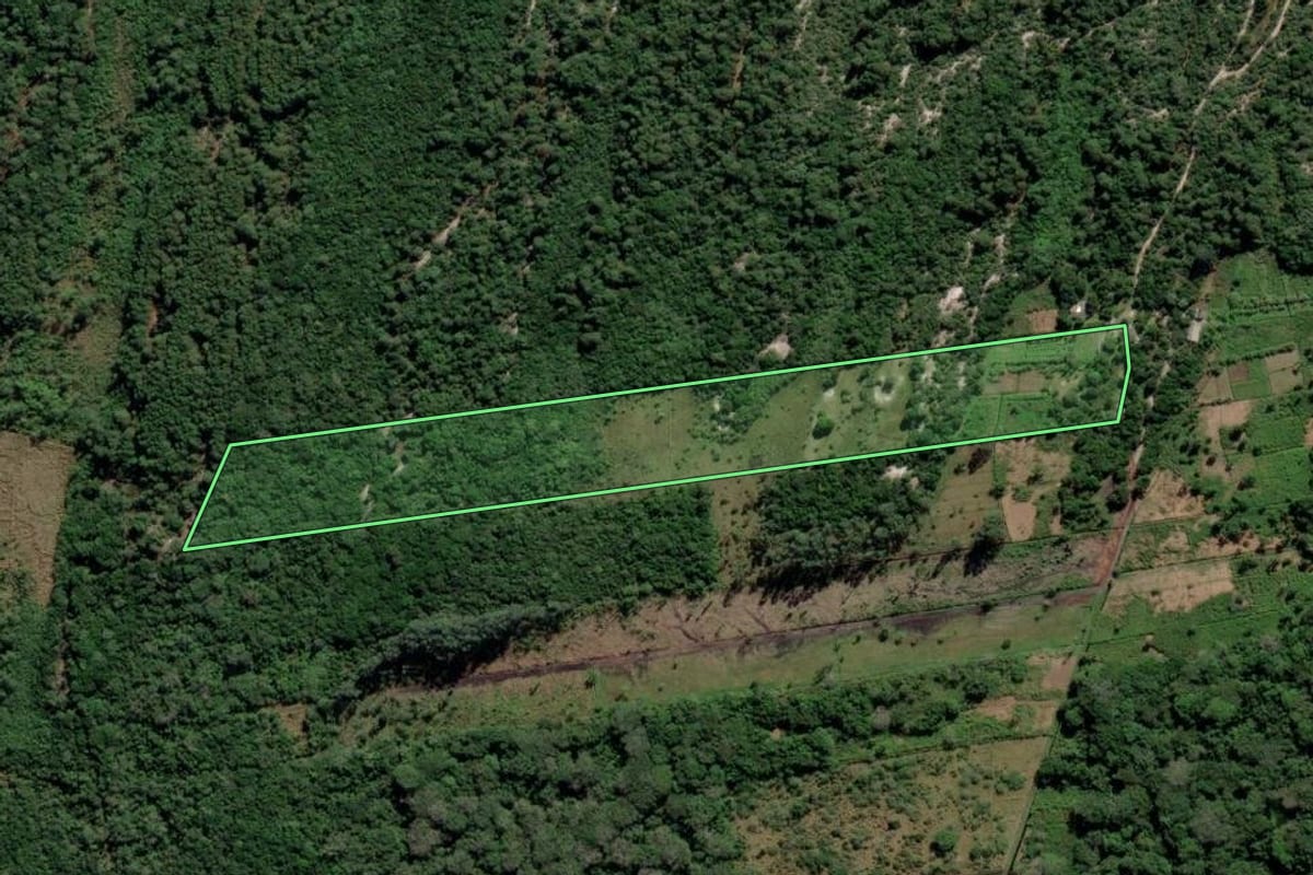 Imagem de satélite do imóvel rural em Palhoça (SC), com o contorno declarado no CAR desenhado por cima.