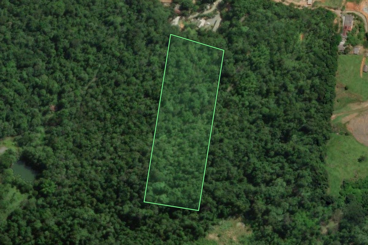 Imagem de satélite do imóvel rural em Palhoça (SC), com o contorno declarado no CAR desenhado por cima.