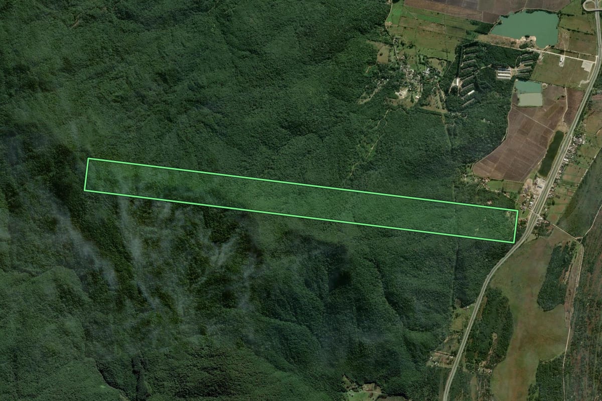 Imagem de satélite do imóvel rural em Palhoça (SC), com o contorno declarado no CAR desenhado por cima.