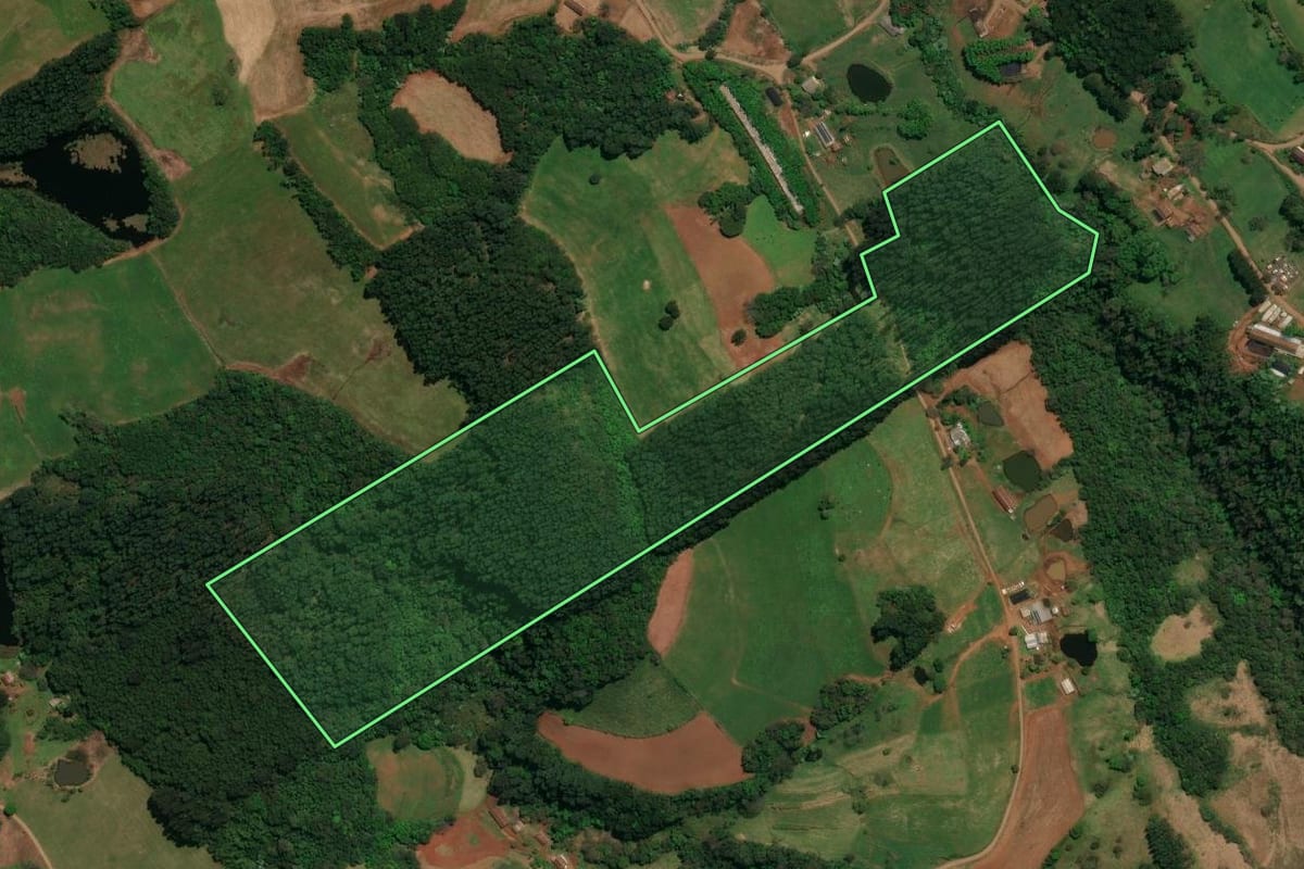 Imagem de satélite do imóvel rural em Palma Sola (SC), com o contorno declarado no CAR desenhado por cima.