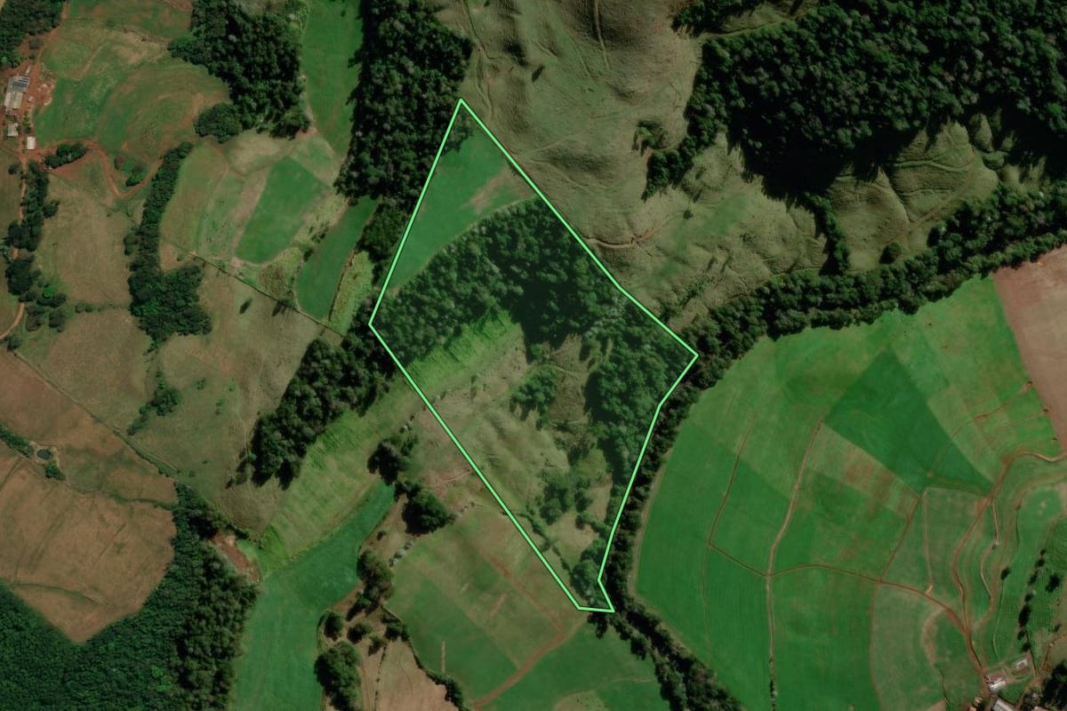 Imagem de satélite do imóvel rural em Palma Sola (SC), com o contorno declarado no CAR desenhado por cima.