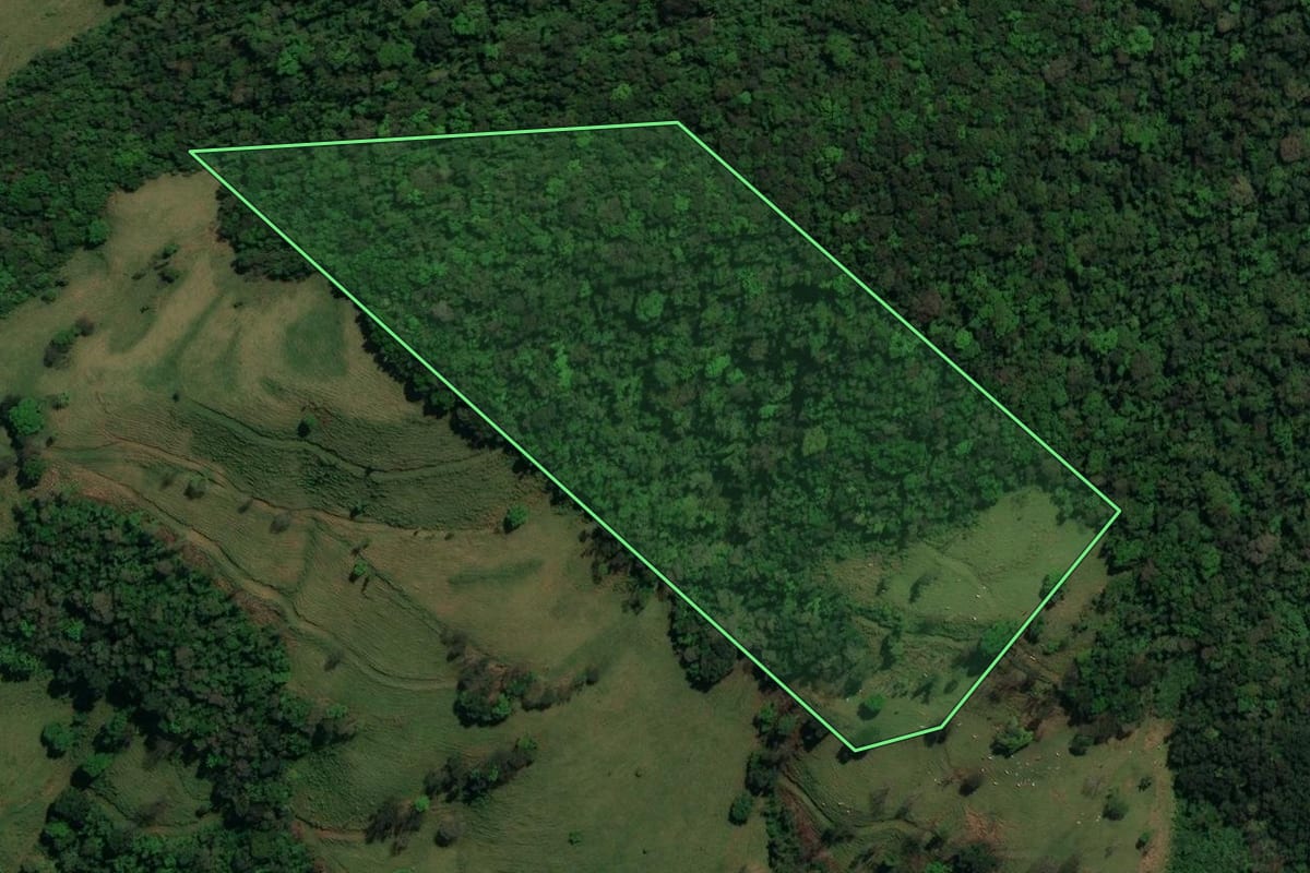 Imagem de satélite do imóvel rural em Palma Sola (SC), com o contorno declarado no CAR desenhado por cima.