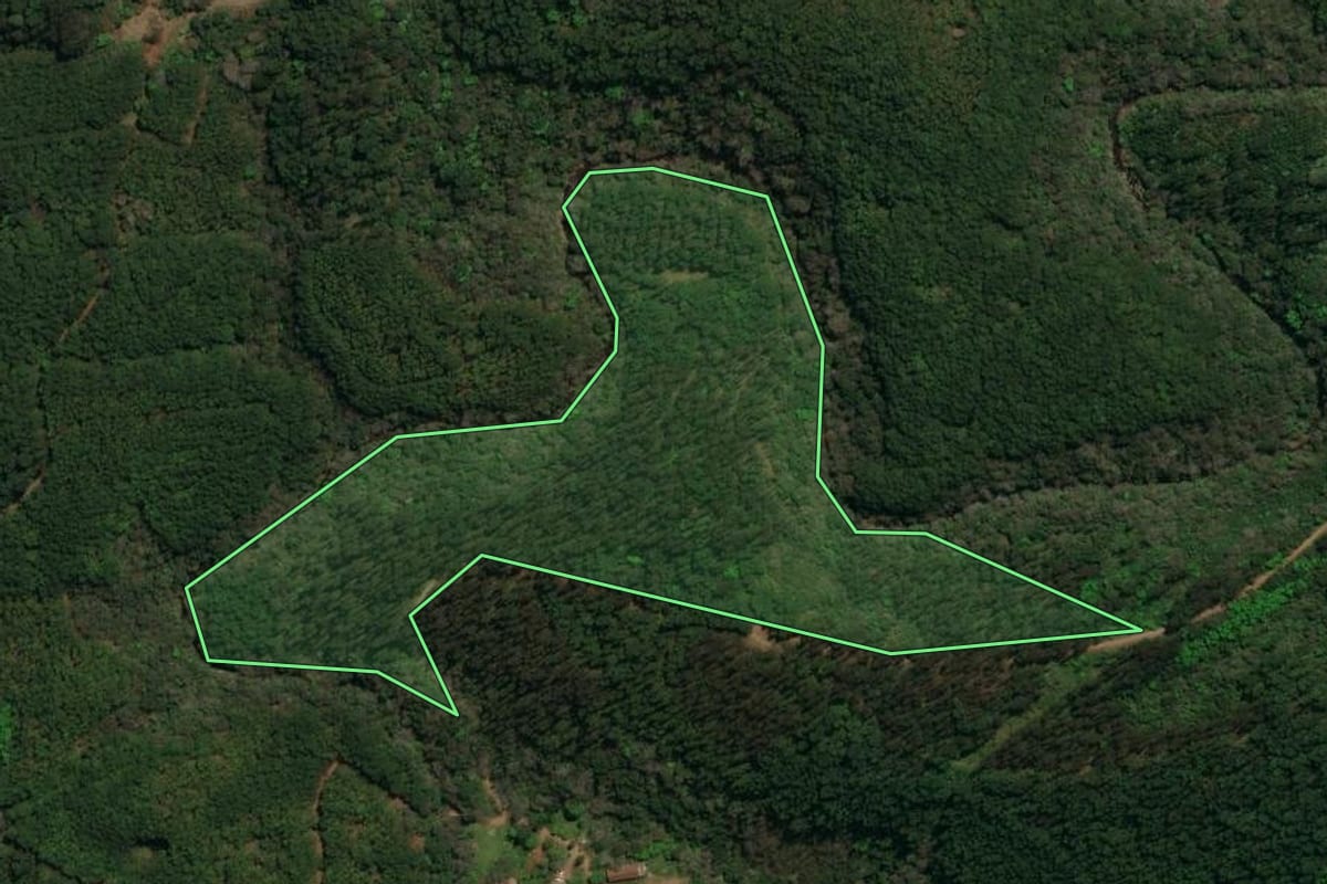 Imagem de satélite do imóvel rural em Palma Sola (SC), com o contorno declarado no CAR desenhado por cima.