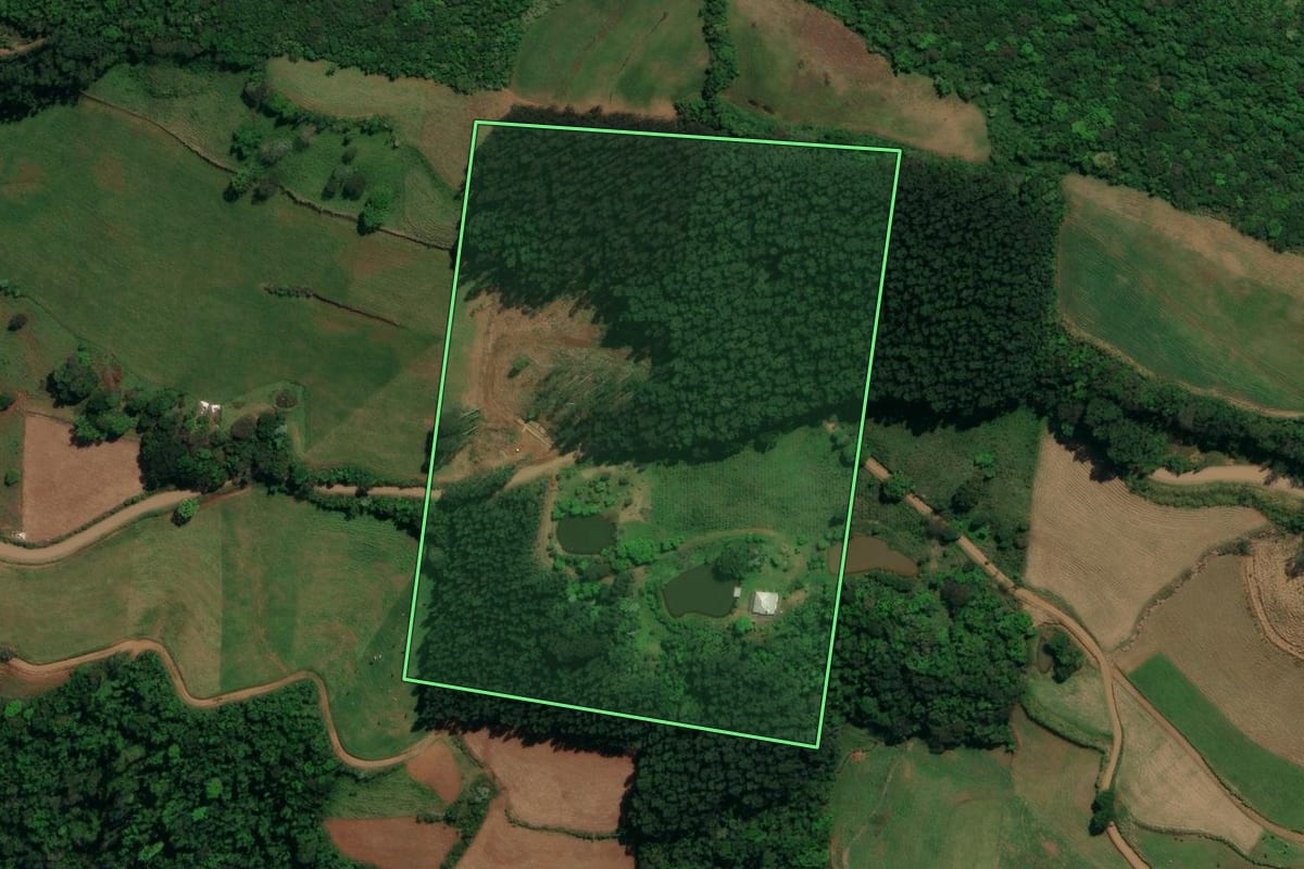 Imagem de satélite do imóvel rural em Palma Sola (SC), com o contorno declarado no CAR desenhado por cima.