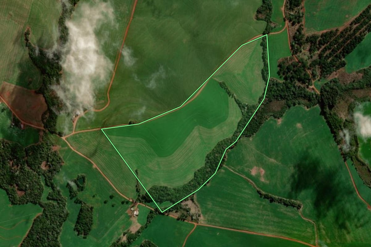 Imagem de satélite do imóvel rural em Palma Sola (SC), com o contorno declarado no CAR desenhado por cima.