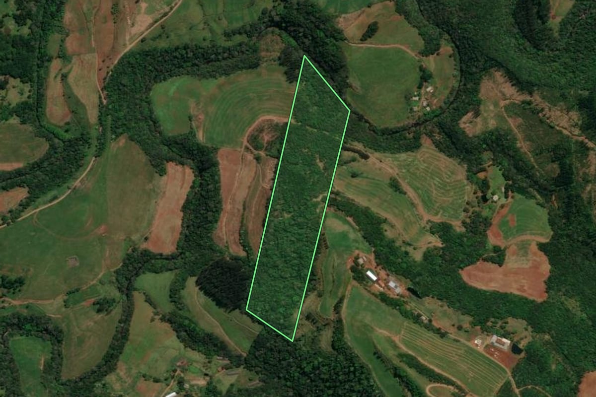 Imagem de satélite do imóvel rural em Palma Sola (SC), com o contorno declarado no CAR desenhado por cima.