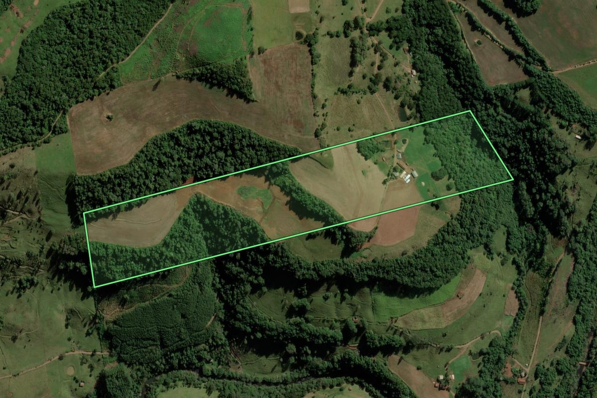 Imagem de satélite do imóvel rural em Palma Sola (SC), com o contorno declarado no CAR desenhado por cima.