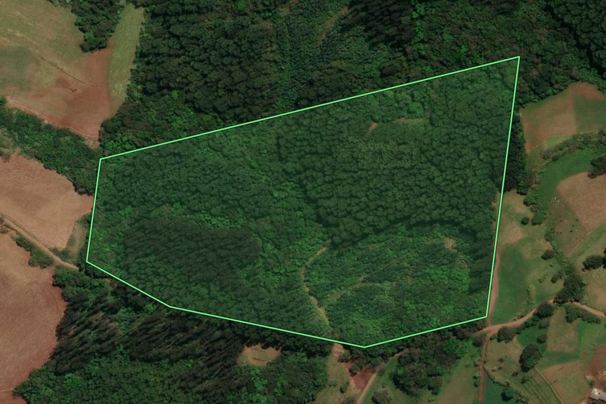 Imagem de satélite do imóvel rural em Palma Sola (SC), com o contorno declarado no CAR desenhado por cima.