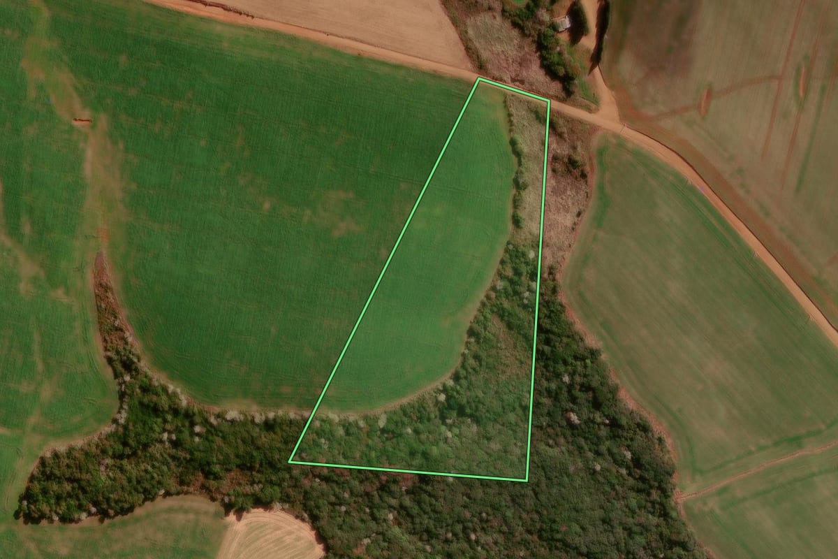 Imagem de satélite do imóvel rural em Palma Sola (SC), com o contorno declarado no CAR desenhado por cima.