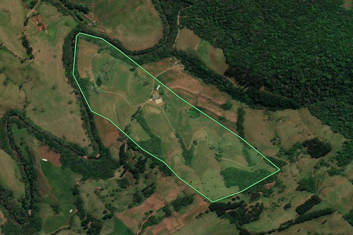 Imagem de satélite do imóvel rural em Palma Sola (SC), com o contorno declarado no CAR desenhado por cima.
