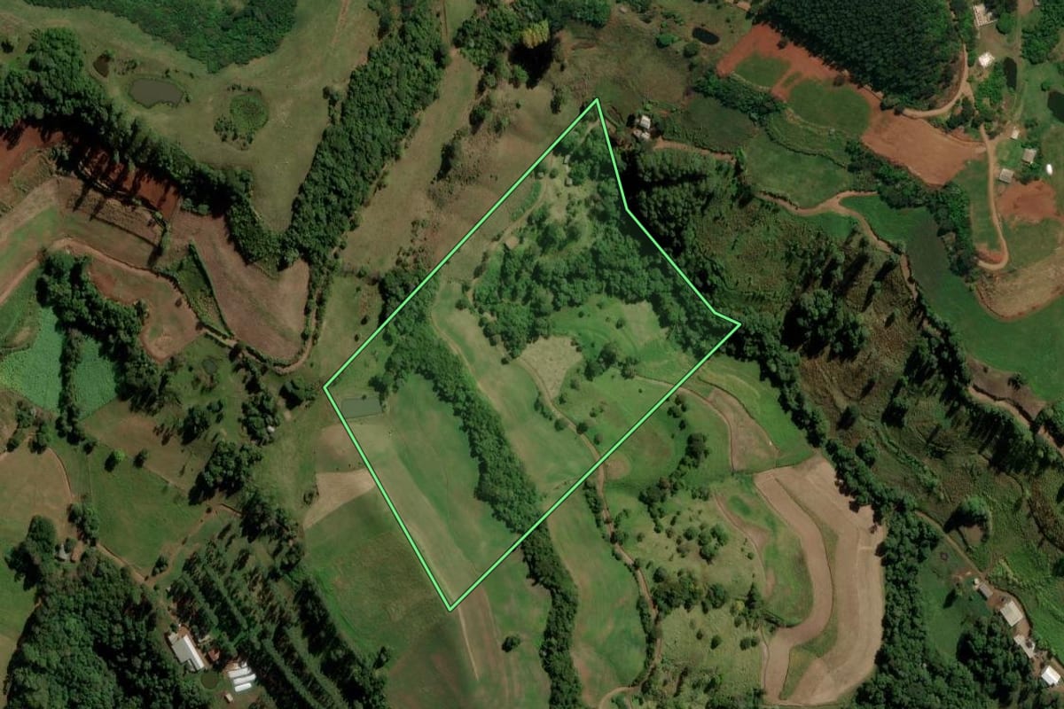 Imagem de satélite do imóvel rural em Palma Sola (SC), com o contorno declarado no CAR desenhado por cima.