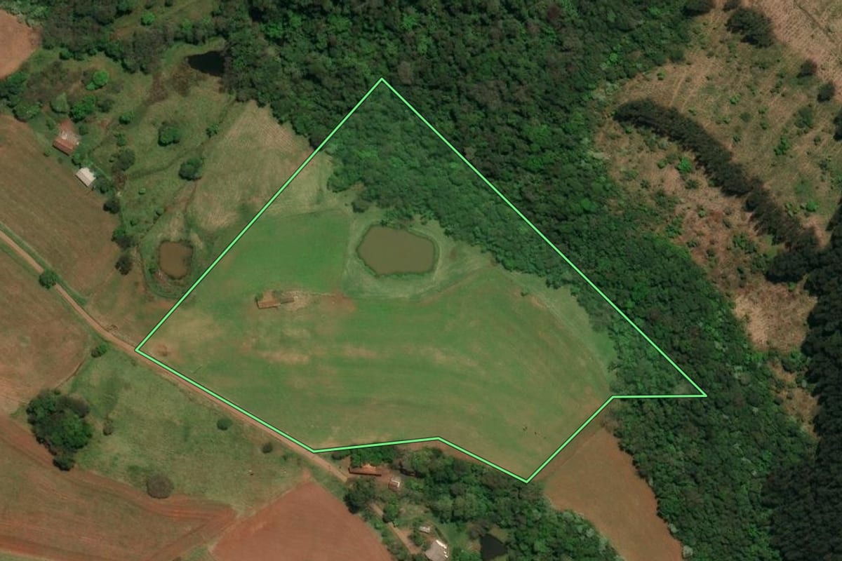 Imagem de satélite do imóvel rural em Palma Sola (SC), com o contorno declarado no CAR desenhado por cima.