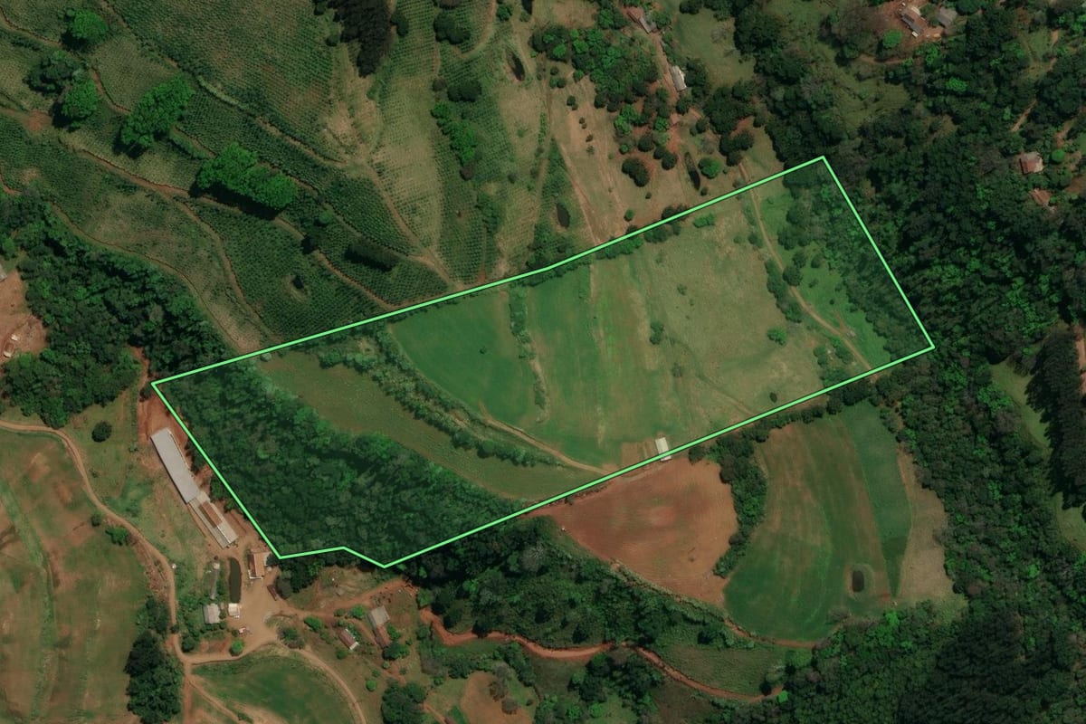 Imagem de satélite do imóvel rural em Palma Sola (SC), com o contorno declarado no CAR desenhado por cima.