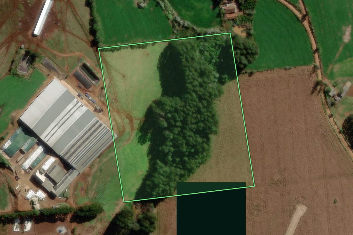 Imagem de satélite do imóvel rural em Palma Sola (SC), com o contorno declarado no CAR desenhado por cima.
