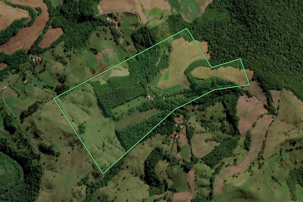 Imagem de satélite do imóvel rural em Palma Sola (SC), com o contorno declarado no CAR desenhado por cima.