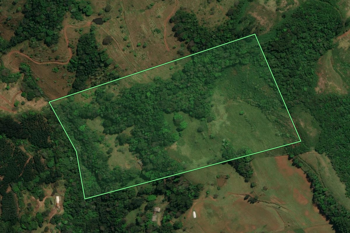 Imagem de satélite do imóvel rural em Palma Sola (SC), com o contorno declarado no CAR desenhado por cima.