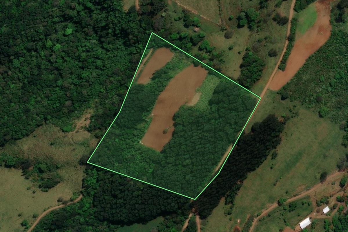 Imagem de satélite do imóvel rural em Palma Sola (SC), com o contorno declarado no CAR desenhado por cima.