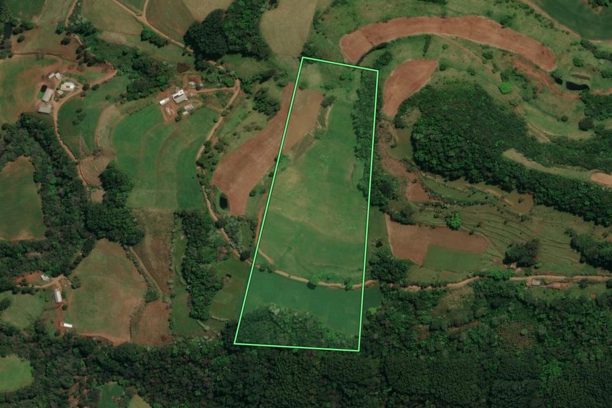 Imagem de satélite do imóvel rural em Palma Sola (SC), com o contorno declarado no CAR desenhado por cima.