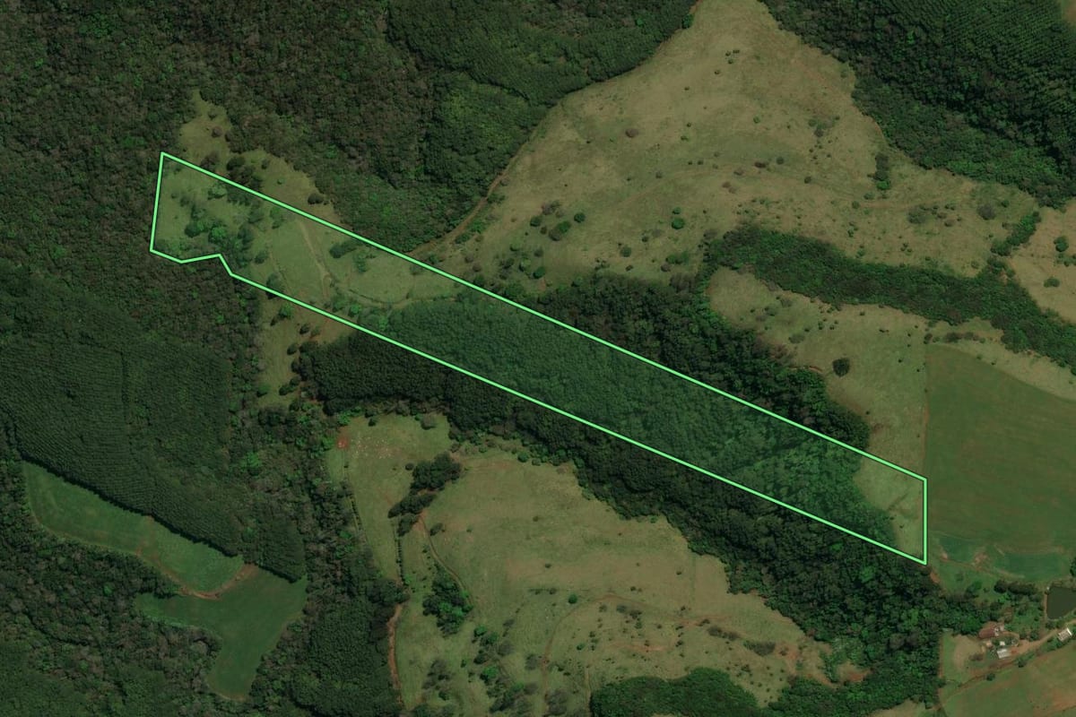 Imagem de satélite do imóvel rural em Palma Sola (SC), com o contorno declarado no CAR desenhado por cima.