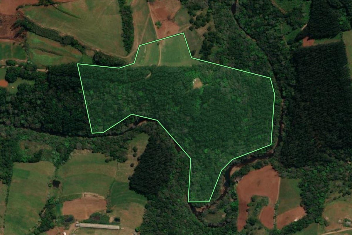 Imagem de satélite do imóvel rural em Palma Sola (SC), com o contorno declarado no CAR desenhado por cima.