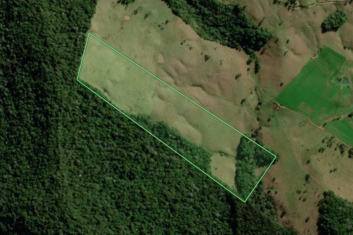 Imagem de satélite do imóvel rural em Palma Sola (SC), com o contorno declarado no CAR desenhado por cima.