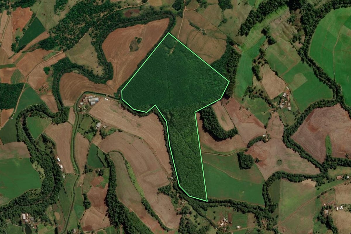 Imagem de satélite do imóvel rural em Palma Sola (SC), com o contorno declarado no CAR desenhado por cima.