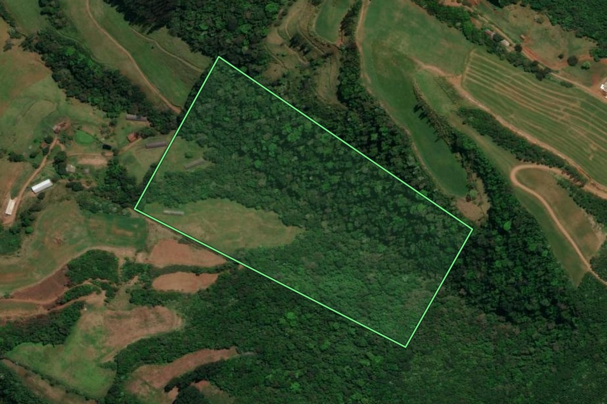 Imagem de satélite do imóvel rural em Palma Sola (SC), com o contorno declarado no CAR desenhado por cima.