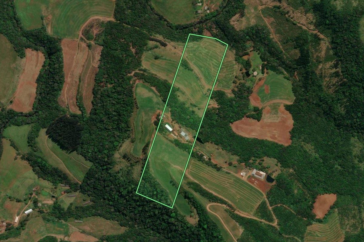 Imagem de satélite do imóvel rural em Palma Sola (SC), com o contorno declarado no CAR desenhado por cima.