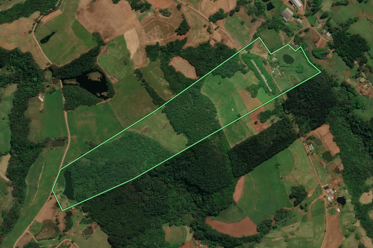 Imagem de satélite do imóvel rural em Palma Sola (SC), com o contorno declarado no CAR desenhado por cima.