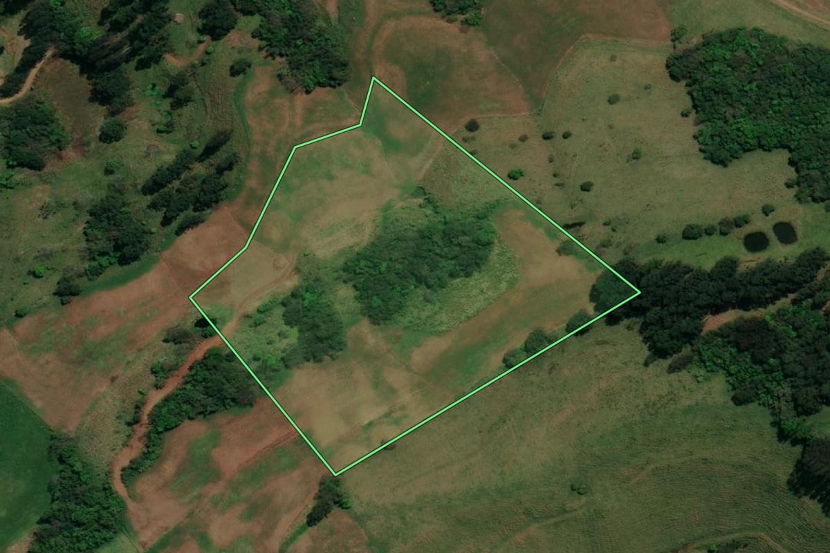 Imagem de satélite do imóvel rural em Palma Sola (SC), com o contorno declarado no CAR desenhado por cima.