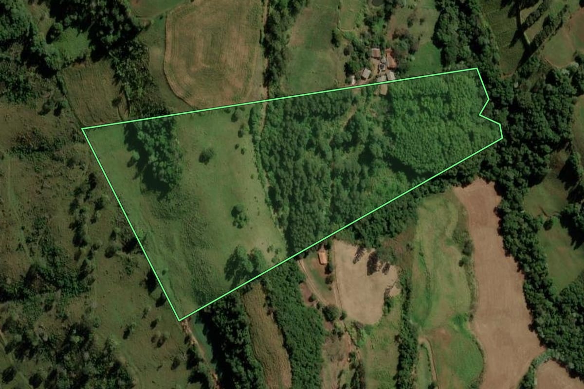 Imagem de satélite do imóvel rural em Palma Sola (SC), com o contorno declarado no CAR desenhado por cima.