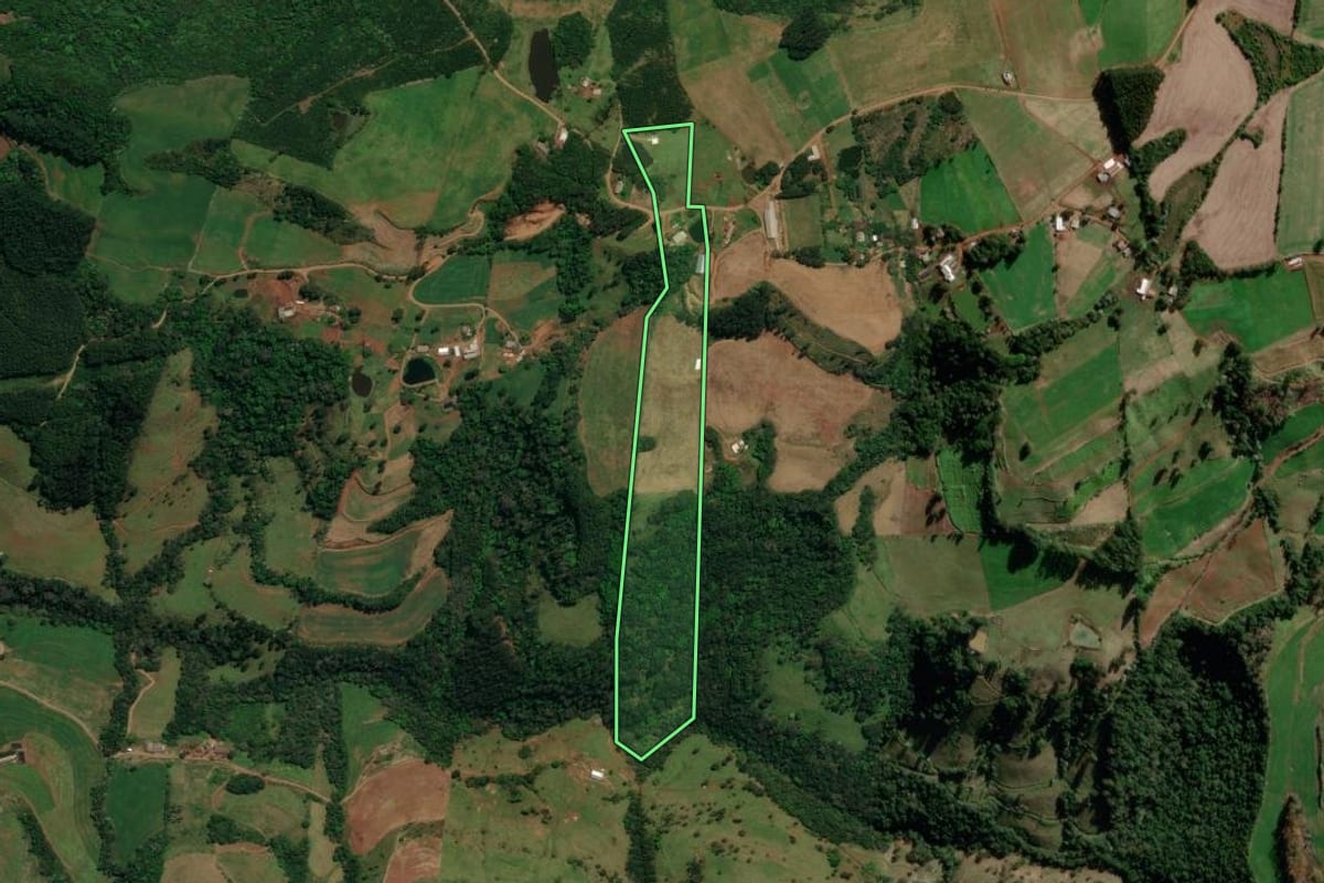 Imagem de satélite do imóvel rural em Palma Sola (SC), com o contorno declarado no CAR desenhado por cima.