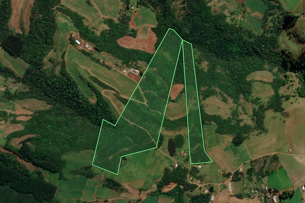 Imagem de satélite do imóvel rural em Palma Sola (SC), com o contorno declarado no CAR desenhado por cima.
